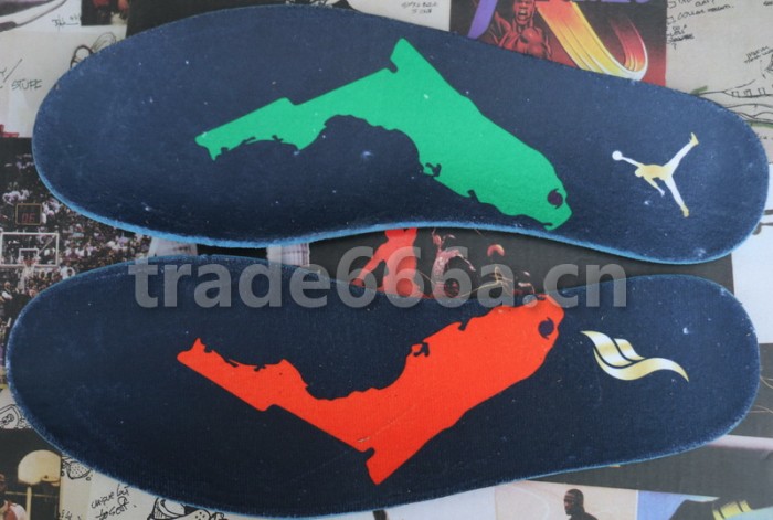 Authentic Solyfly x Air Jordan 1 Green