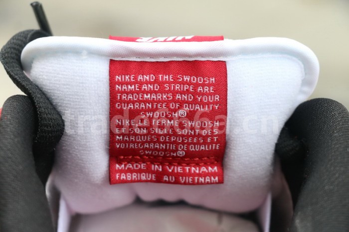 Authentic Nike Dunk SB Low “Chicago”