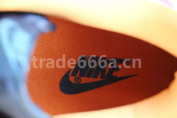 Authentic Nike Dunk Low SP “Ceramic”