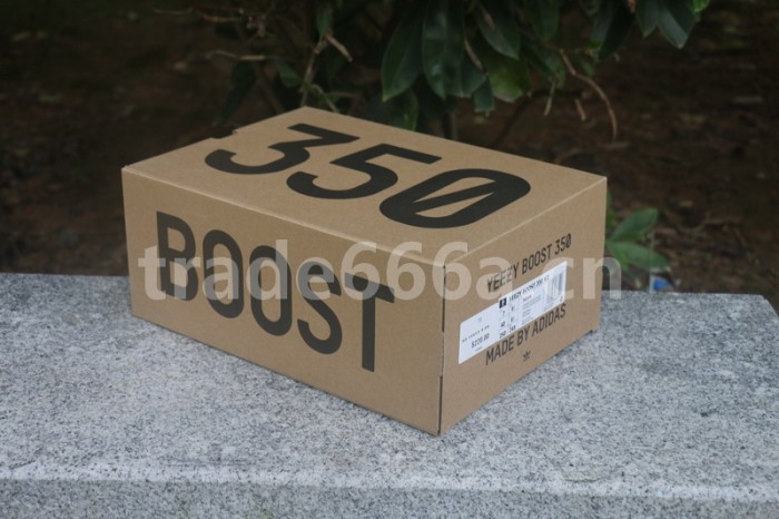 Authentic Yeezy 350 V2 “Synth” (full reflective)