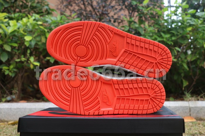 Authentic Solyfly x Air Jordan 1