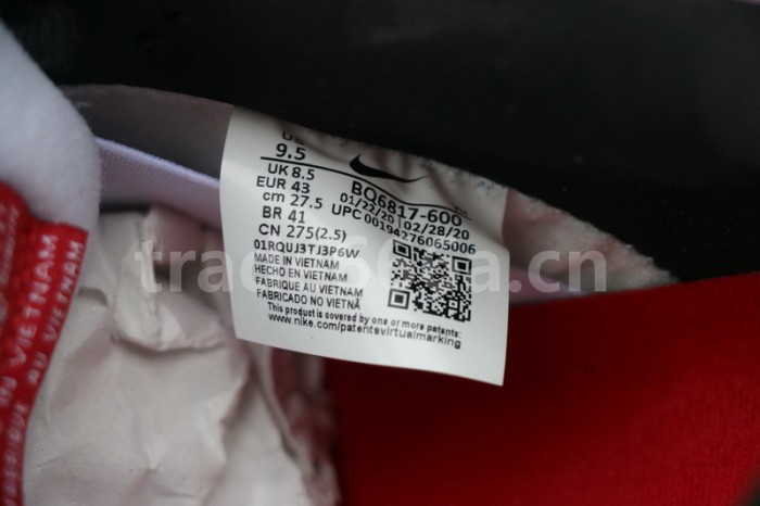 Authentic Nike Dunk SB Low “Chicago”