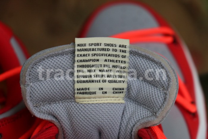 Authentic OFF-WHITE x Nike Dunk Low Red Grey