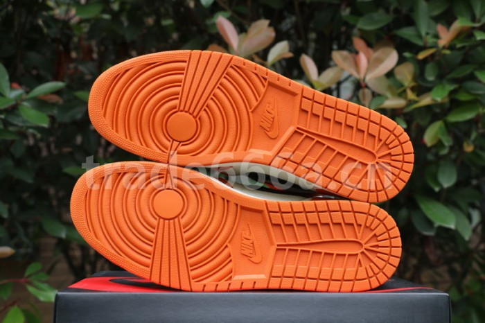 Authentic Air Jordan 1 “Reverse Shattered Backboard”