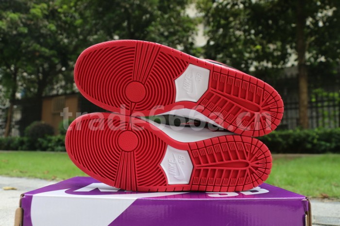 Authentic Nike Dunk SB Low “Chicago”