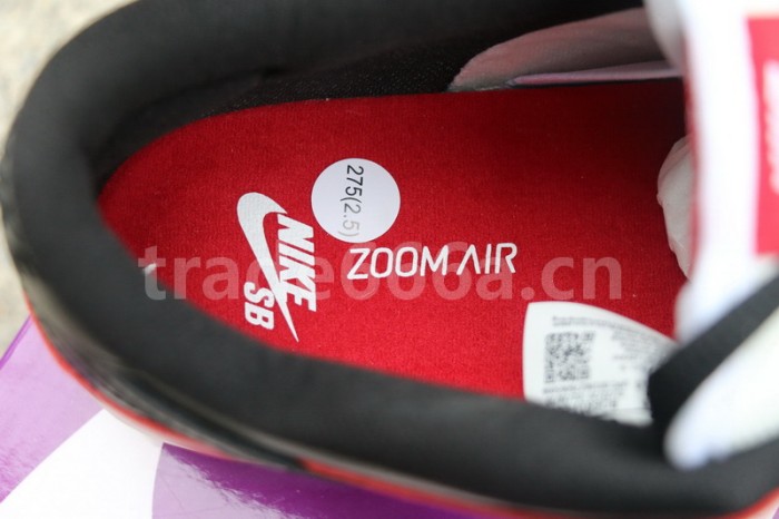 Authentic Nike Dunk SB Low “Chicago”