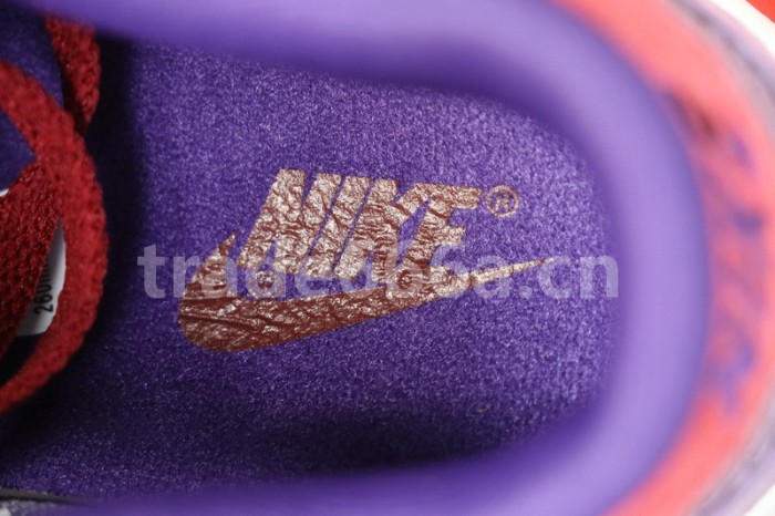 Authentic Nike Dunk Low “Plum”