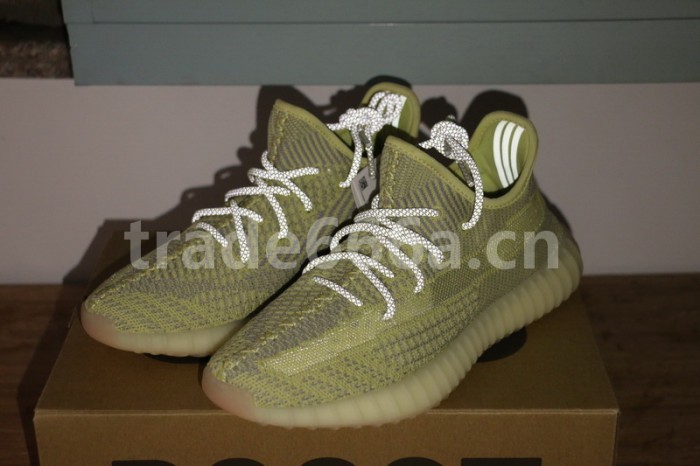 Authentic Yeezy Boost 350 V2 “ANTLIA”