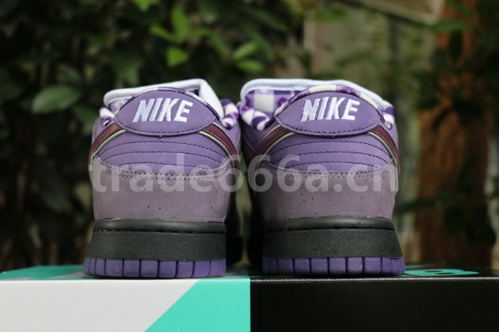 Authentic Nike Dunk SB Concepts Purple Lobster