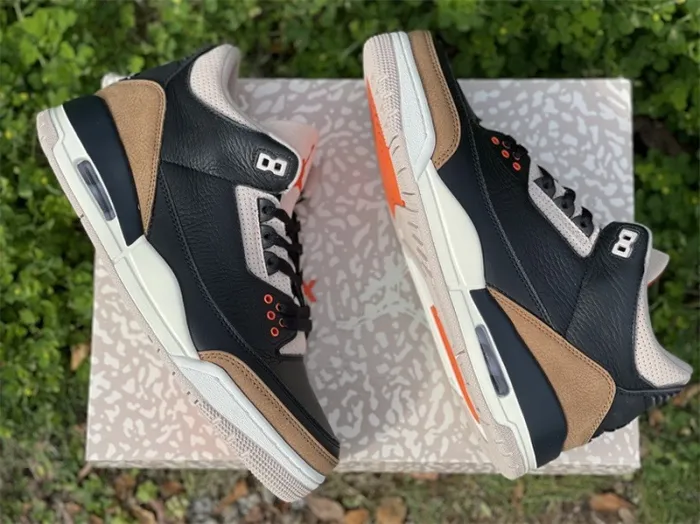 Authentic Air Jordan 3 “Desert Elephant”