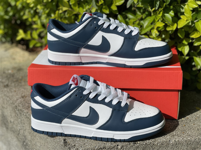 Authentic Nike Dunk Low＂Valerian Blue＂