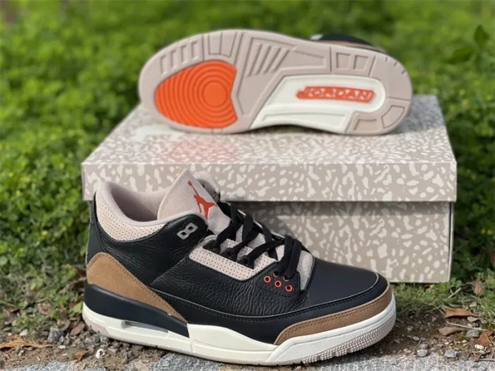 Authentic Air Jordan 3 “Desert Elephant”