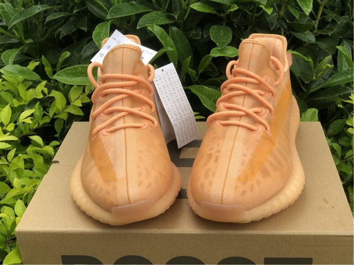 Authentic Yeezy Boost 350 v2 “Mono Clay”
