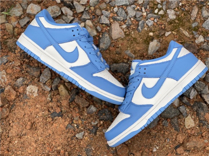 Authentic Nike Dunk Low “Coast”