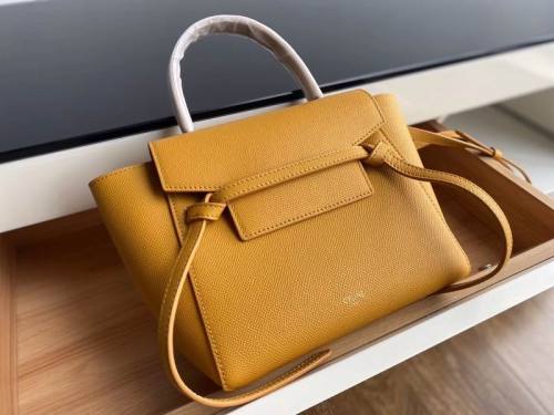 Celine High End Quality Bags-076