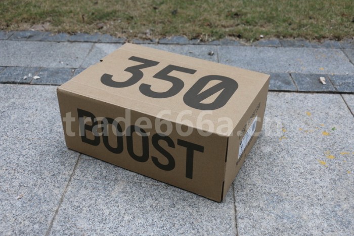 Authentic Yeezy Boost 350 V2 “Ash Pearl”