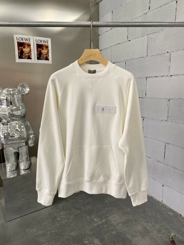 Dior Hoodies High End Quality-141