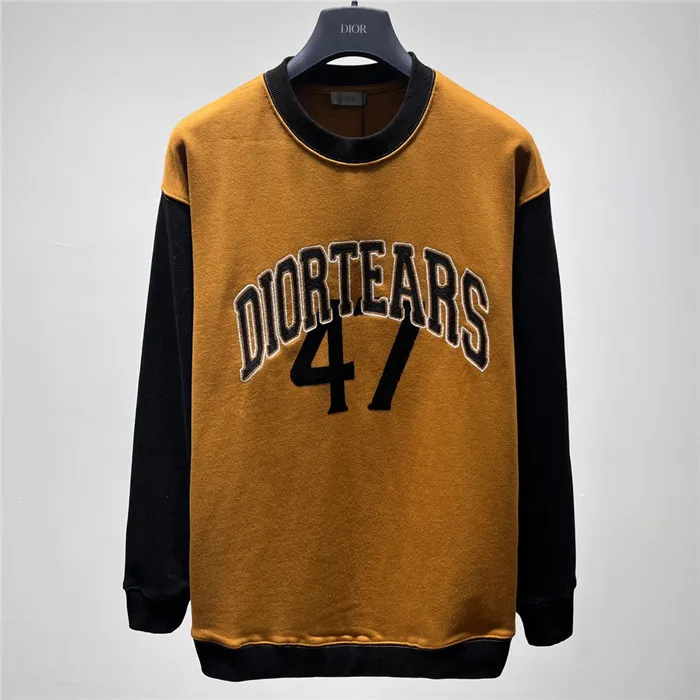 Dior Hoodies High End Quality-169