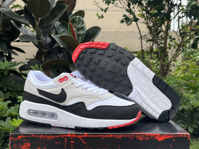 Authentic Nike Air Max 1 DQ3989-101