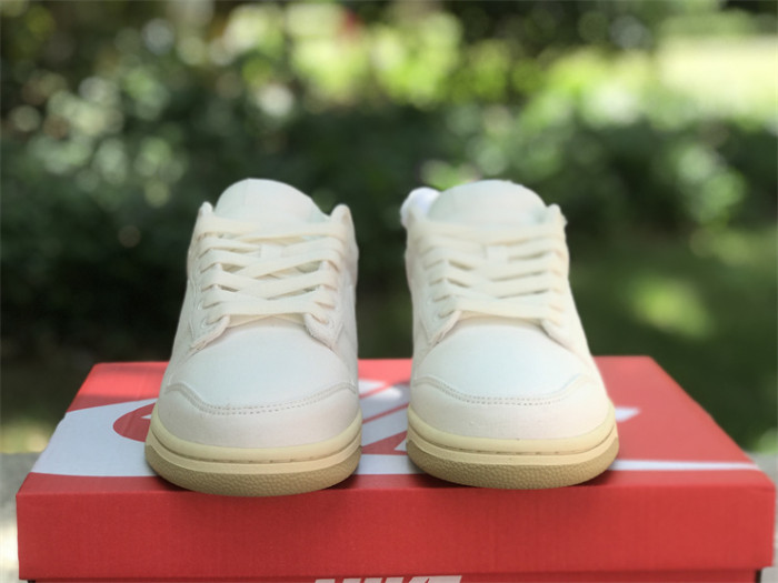 Authentic Nike Dunk Low “The Future is Equal”