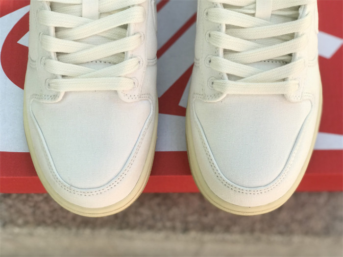 Authentic Nike Dunk Low “The Future is Equal”