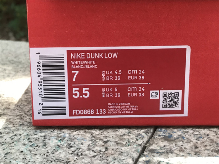 Authentic Nike Dunk Low “The Future is Equal”