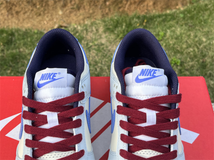 Authentic Nike Dunk Low FV8113-141