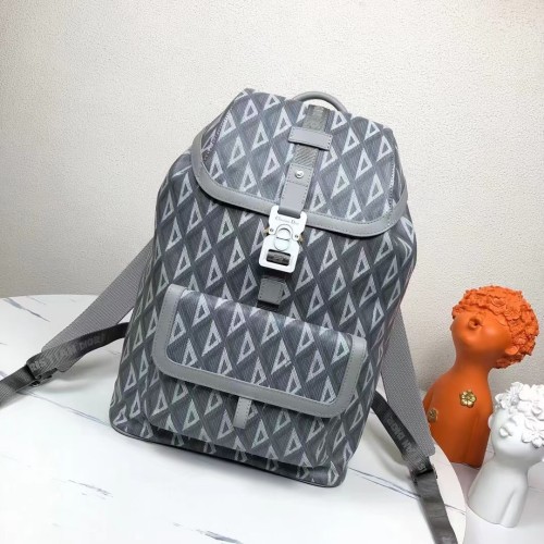 Dior High End Quality Bags-128