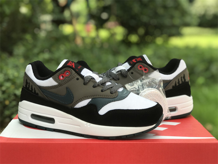 Authentic Nike Air Max 1 “ESCAPE”
