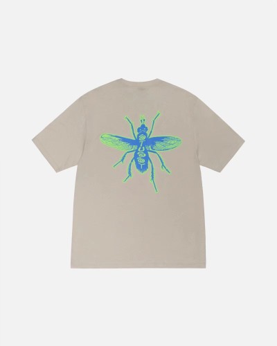 Stussy Shirt 1：1 Quality-370(S-XL)