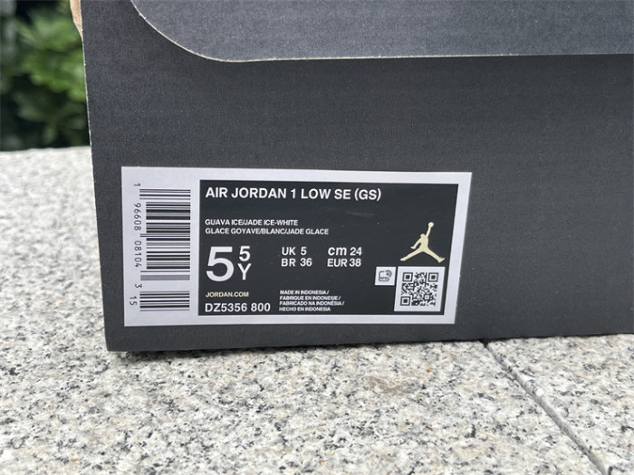 Authentic Air Jordan 1 Low DZ5356-800
