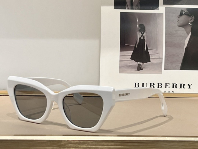 Burberry Sunglasses AAAA-1351