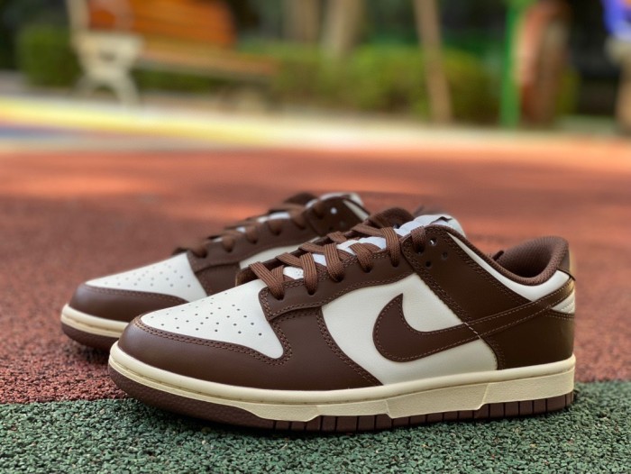 Authentic Nike Dunk Low Surfaces In Brown And Sail Women Shoes