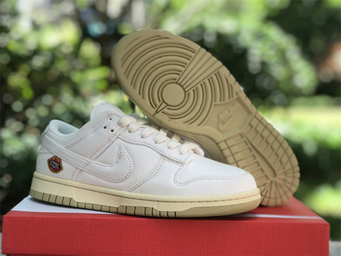 Authentic Nike Dunk Low “The Future is Equal”