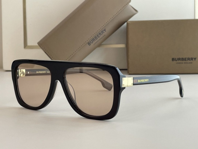 Burberry Sunglasses AAAA-1353