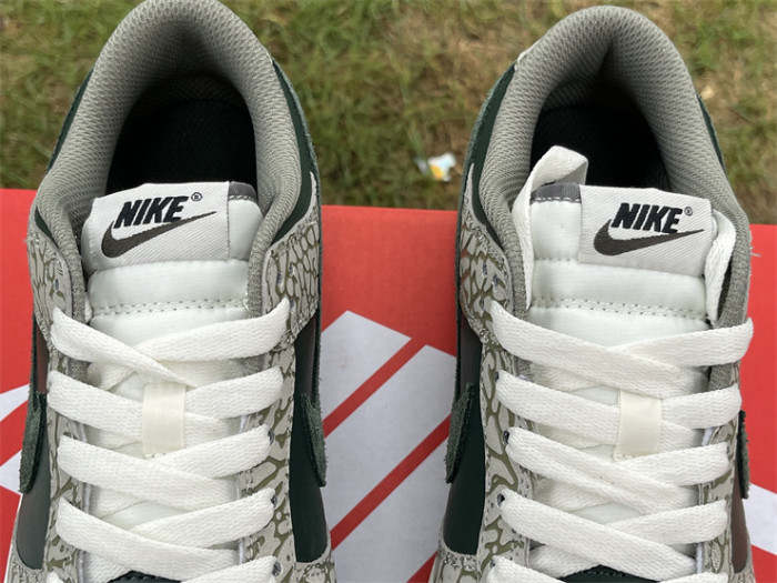 Authentic Nike Dunk Premium “Urban Landscape 2.0”