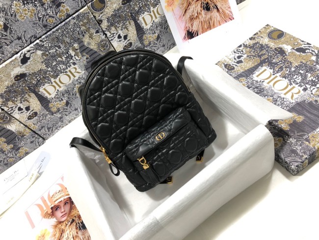 Dior Backpack High End Quality-002