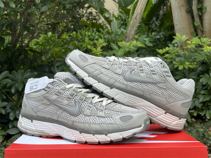 Authentic Nike P-6000 Shoes-003