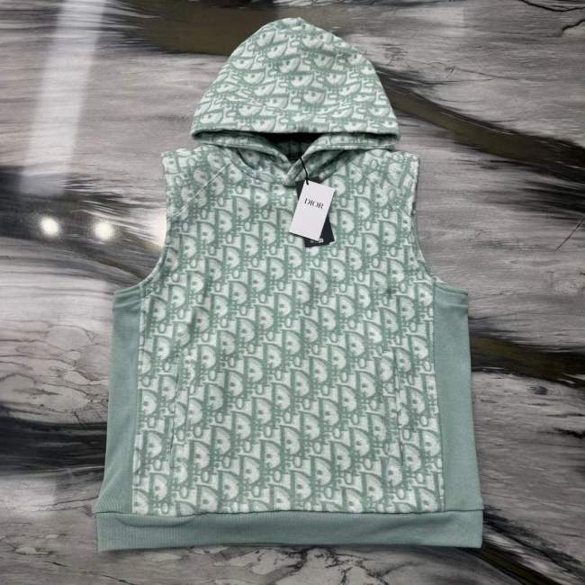 Dior Hoodies High End Quality-193