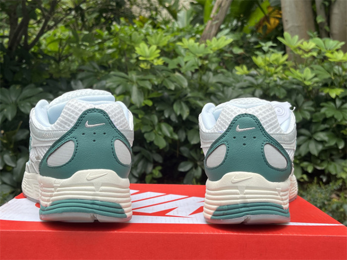 Authentic Nike P-6000 Shoes-001