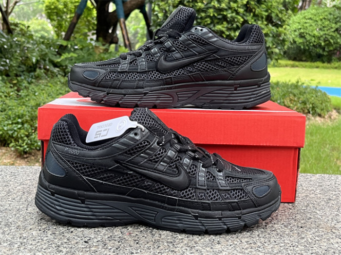 Authentic Nike P-6000 Shoes-004