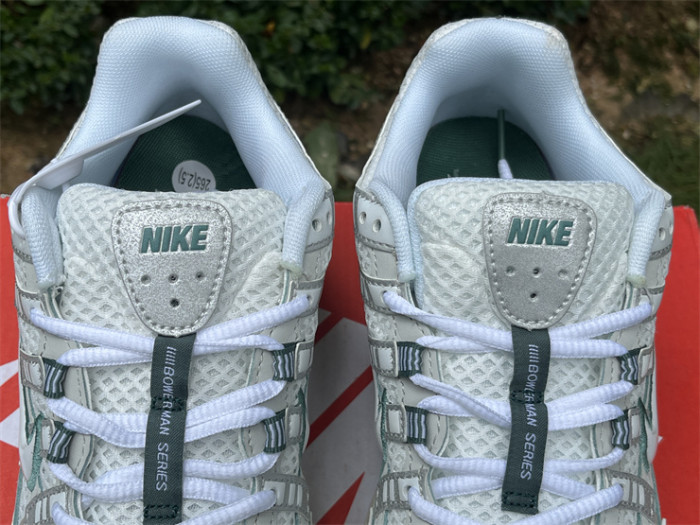 Authentic Nike P-6000 Shoes-001