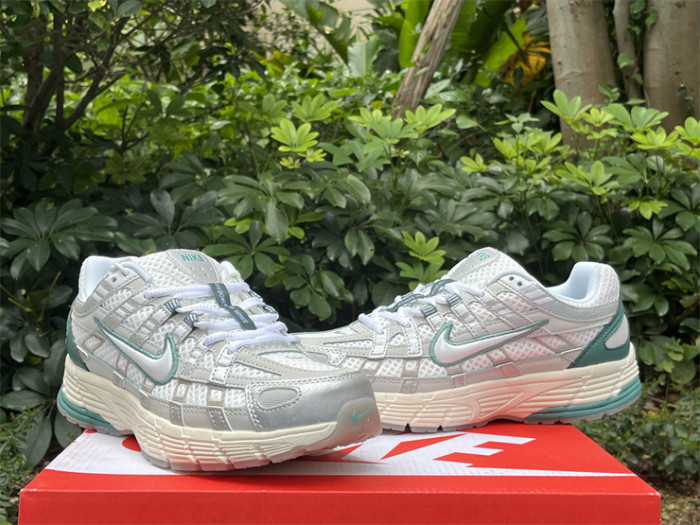 Authentic Nike P-6000 Shoes-001