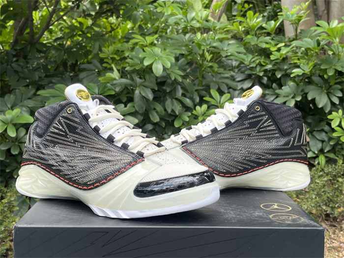 Authentic Titan x Air Jordan 23 Retro SP 10th Anniversary
