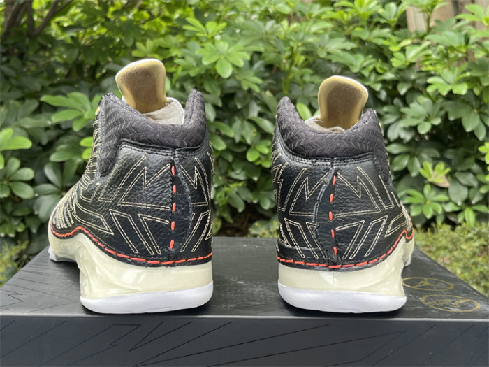 Authentic Titan x Air Jordan 23 Retro SP 10th Anniversary