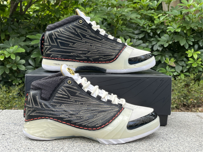Authentic Titan x Air Jordan 23 Retro SP 10th Anniversary