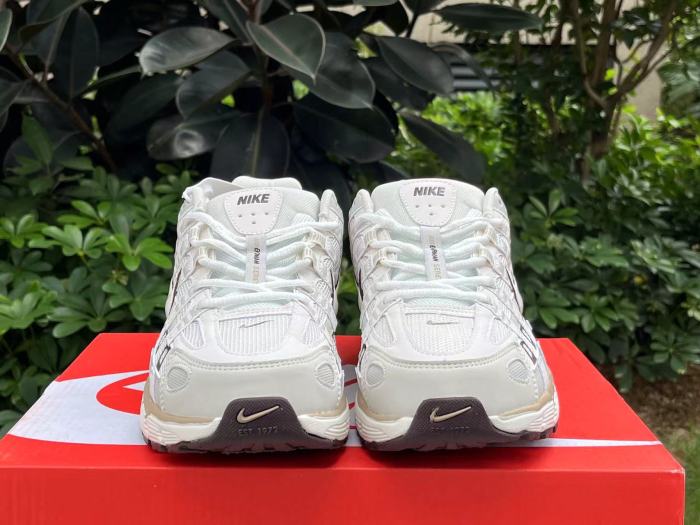 Authentic Nike P-6000 Shoes-009