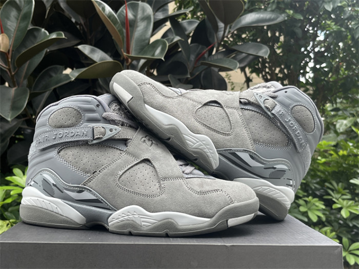 Authentic Air Jordan 8 “Cool Grey”
