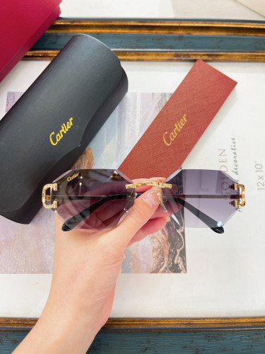 Cartier Sunglasses AAAA-5892