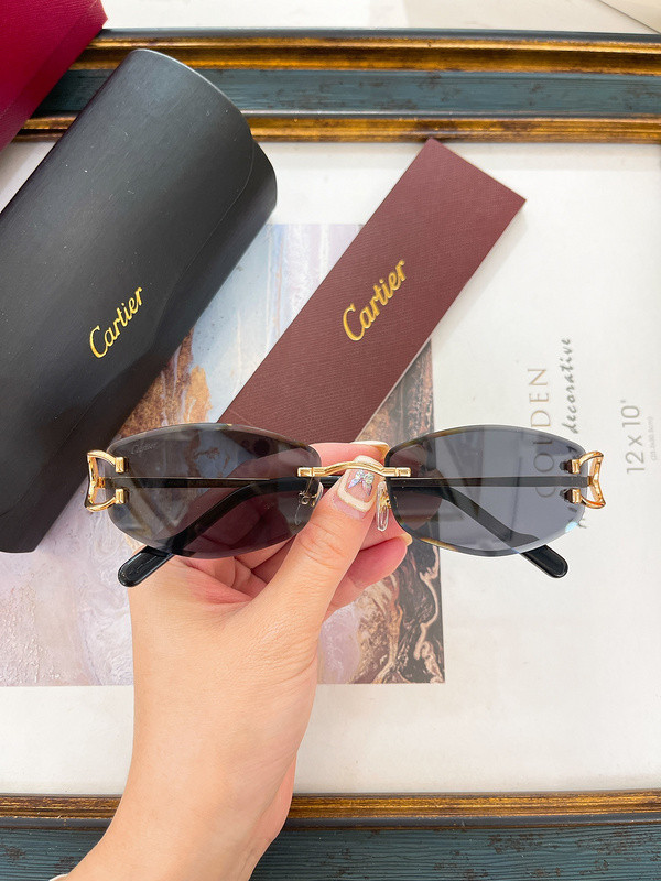 Cartier Sunglasses AAAA-7445